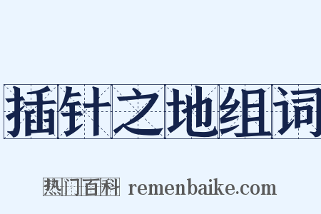 插针之地组词是什么意思的图片